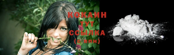 молекула духа Магадан