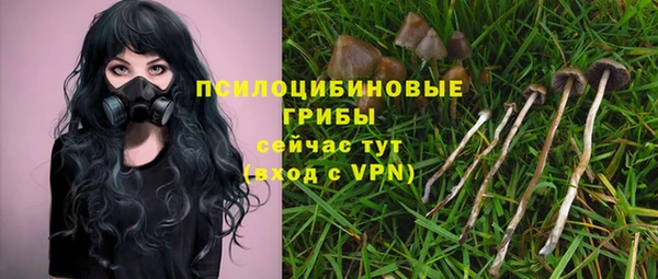 герыч Лиски