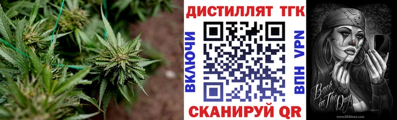 ТГК жижа  Нестеров 