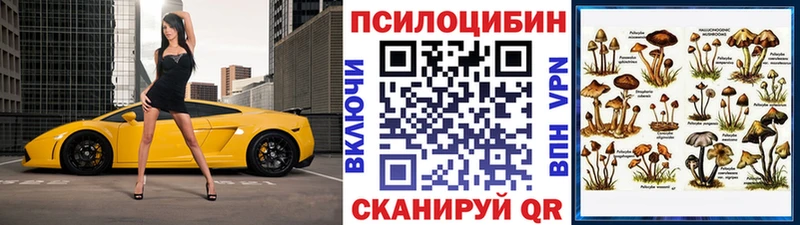 Галлюциногенные грибы Magic Shrooms  Нестеров 